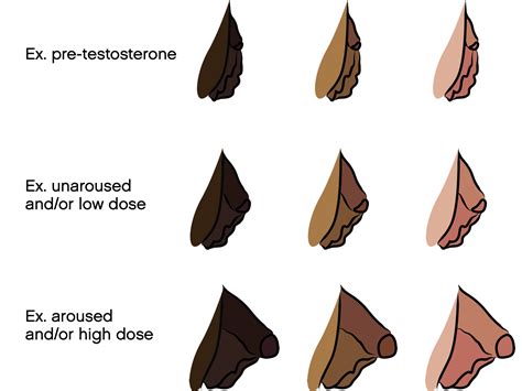 bottom growth before and after|Testosterone HRT and Bottom Growth